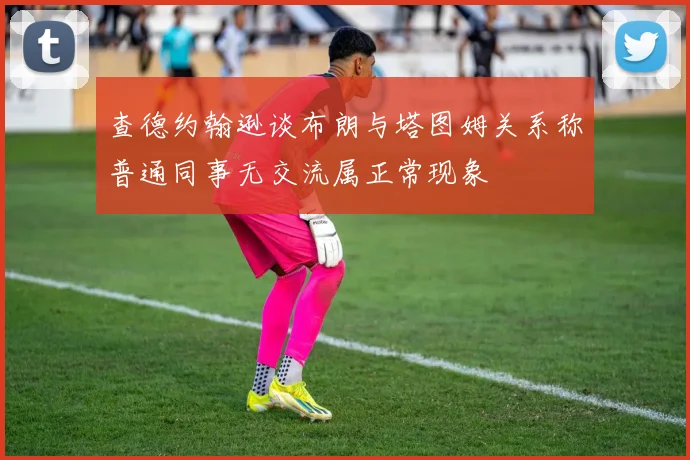 查德约翰逊谈布朗与塔图姆关系称普通同事无交流属正常现象