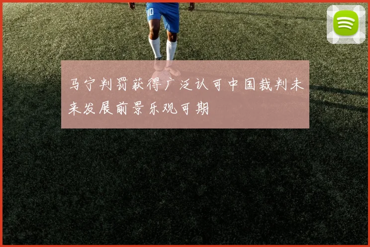 马宁判罚获得广泛认可中国裁判未来发展前景乐观可期