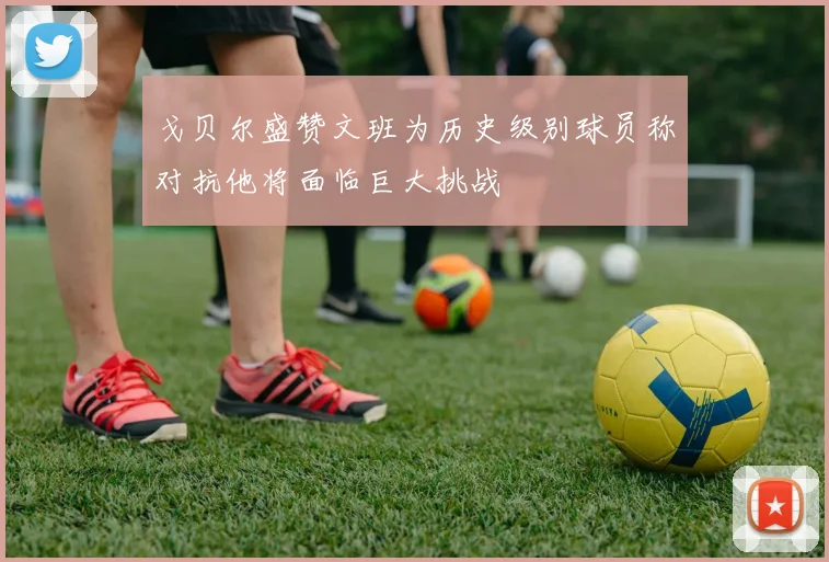 戈贝尔盛赞文班为历史级别球员称对抗他将面临巨大挑战
