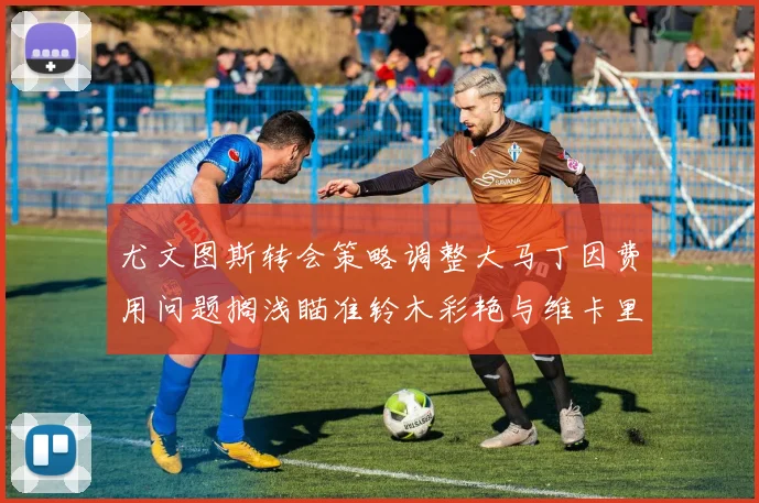 尤文图斯转会策略调整大马丁因费用问题搁浅瞄准铃木彩艳与维卡里奥
